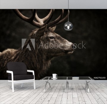 Picture of Stag IV